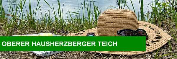 Oberer Hausherzberger Teich