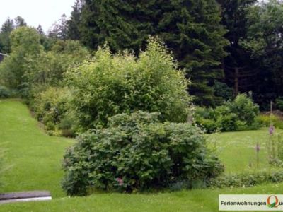 Blick in den Garten des Haus Samantha, in dem 2 Feienwohnungen in Altenau verfügbar sind